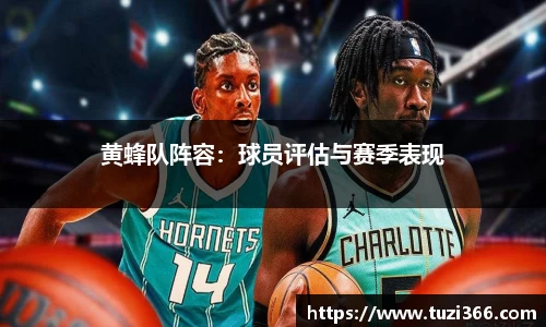 黄蜂队阵容：球员评估与赛季表现